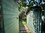 Immagine 23