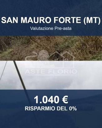 Immobile in asta di 15222 m² a San Mauro Forte