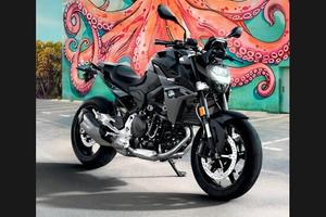 Bmw F 900 R Triple Black