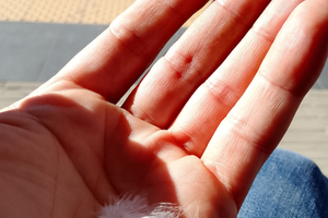 Vorrei un posto letto e cucina Quartiere Vomero