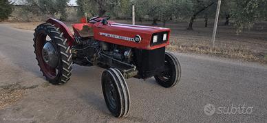 Trattore Massey Ferguson 135 frutteto