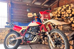 HONDA XL600R 1984 color USA - accensione pedivella