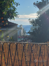 Casetta con piccolo giardino