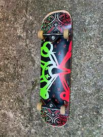 Skateboard