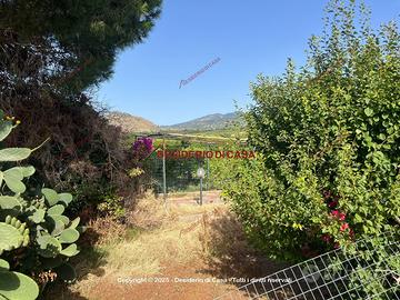 Terreno, Lascari.