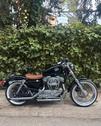 Harley davidson  sportster 883 carburatore