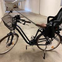 Bicicletta elettrica