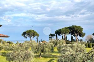 3 LOCALI A PADENGHE SUL GARDA