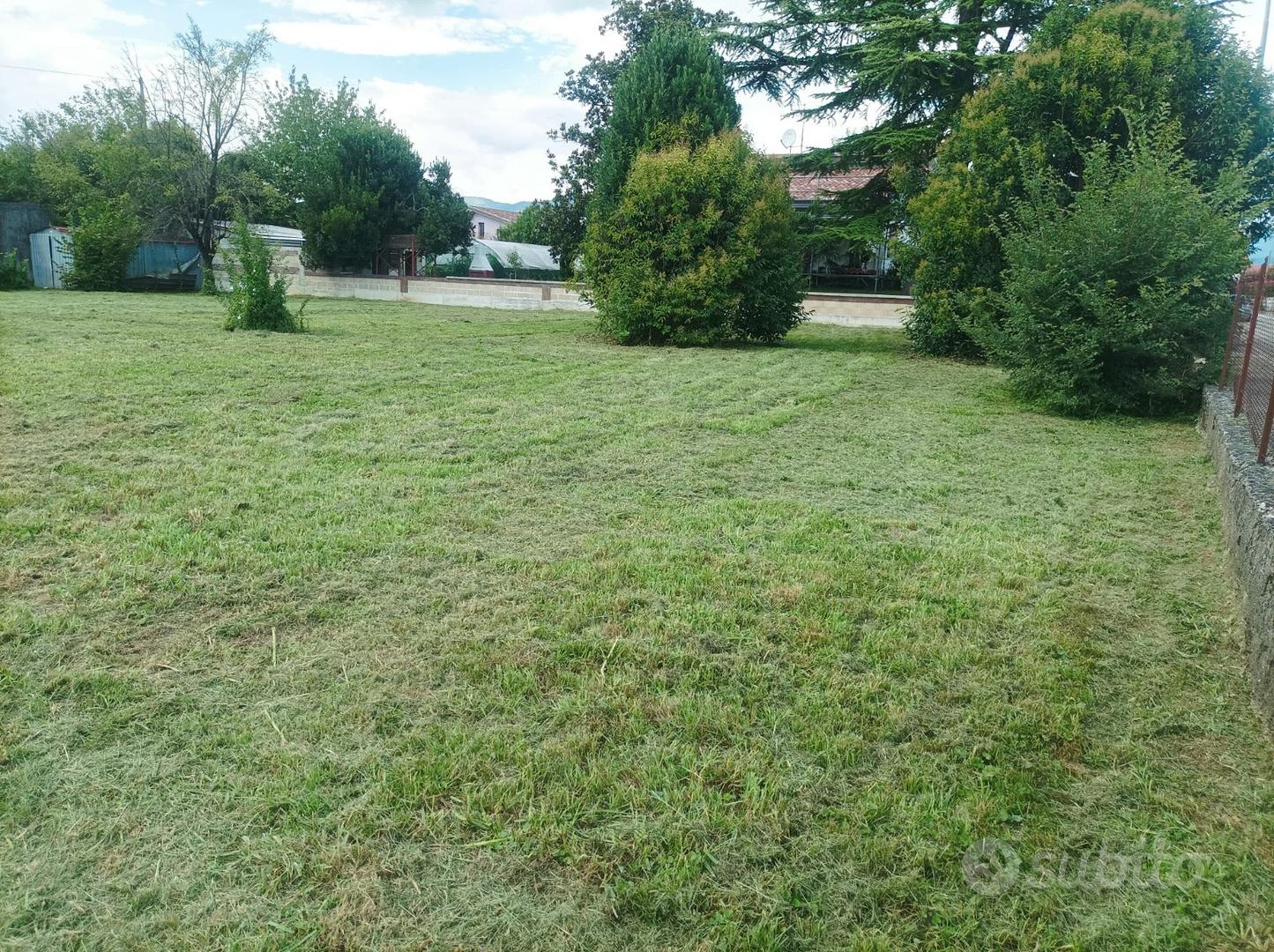 Terreno EDIFICABILE Vacile - Vista 4