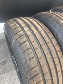 gomme estive.