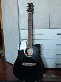 Chitarra Acustica Eko Ranger CW