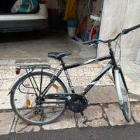 Bici da uomo
