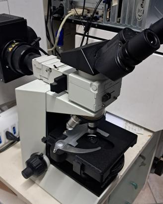 Microscopio in fluo