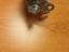 Immagine 6