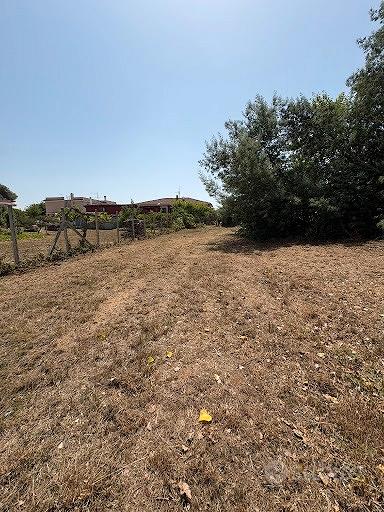 Terreno Edificabile 1.217 mq Anzio Sacida - Vista 2