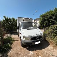 Furgone Mercedes con Cella Frigo