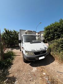 Furgone Mercedes con Cella Frigo