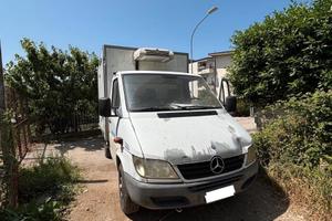 Furgone Mercedes con Cella Frigo
