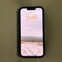 Iphone 13 NO FACE ID