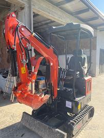 Mini escavatore