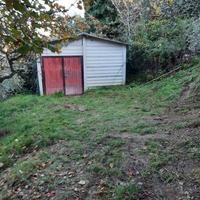 Terreno mq 5000 con oliveta