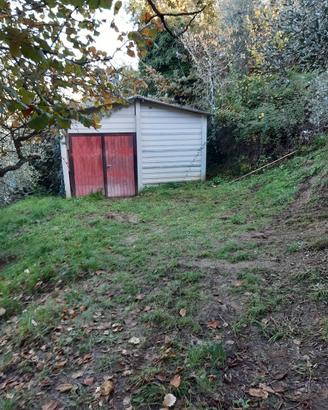 Oliveta con capanna C2