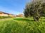 Immagine 16