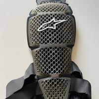 Paraschiena alpinestars