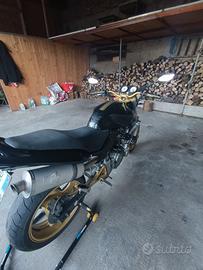 Hornet 600
