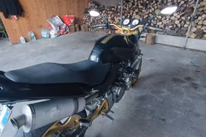Hornet 600
