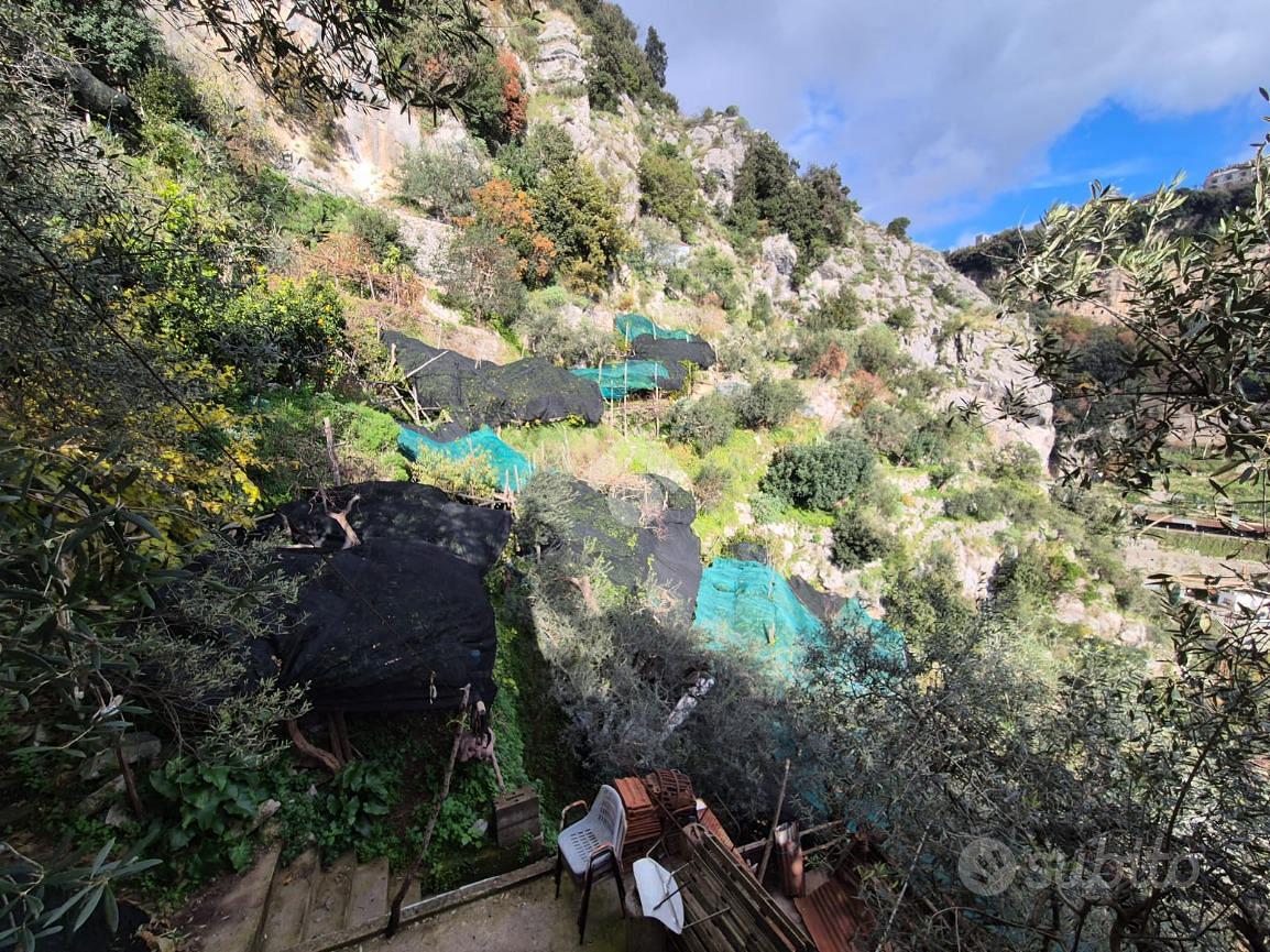 TER. AGRICOLO A SCALA - Vista 3