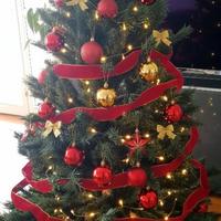Albero di Natale 
