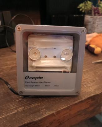 2 faretti UV piante