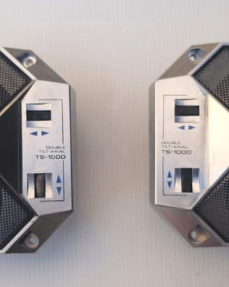 autoradio casse diffusori  Pioneer TS1000