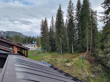 Fuga di giugno a Madonna di Campiglio