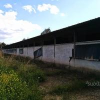 Capannone sito in calabria