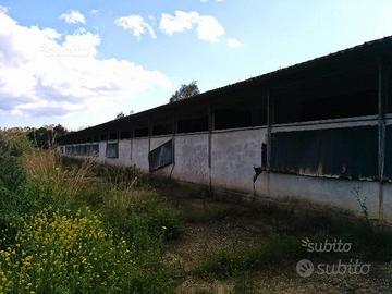 Capannone sito in calabria
