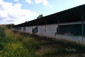 Capannone sito in calabria