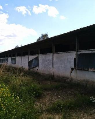 Capannone sito in calabria