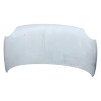 COFANO ANTERIORE FIAT 500 Serie (07>14)