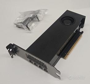 NVIDIA Scheda grafica RTX PRO 2000 Blackwell 16GB