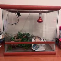 Teca rettilario per rettili