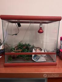 Teca rettilario per rettili