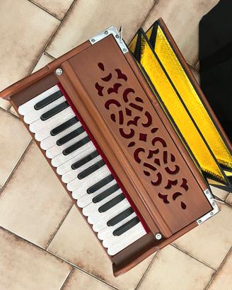 harmonium kirtan RAGA