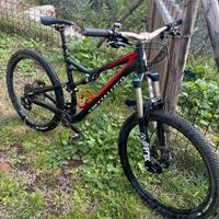 Mountain Bike specialized stumpjumper
