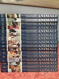 Nel Meraviglioso Regno Degli Animali. Curcio 1974