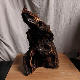 Lampada in radica di ulivo