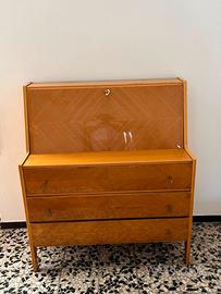 Coppia Mobili Vintage in Legno Chiaro Lucido