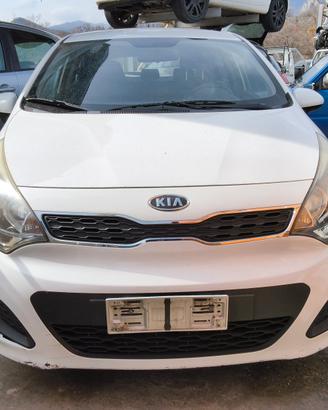 musata kia rio bianca