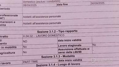assistente alla persona 